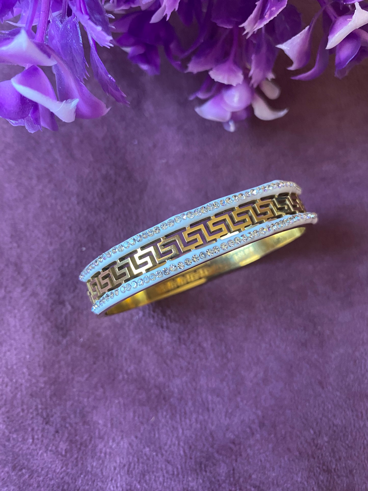 Double Layer Snake Bangle