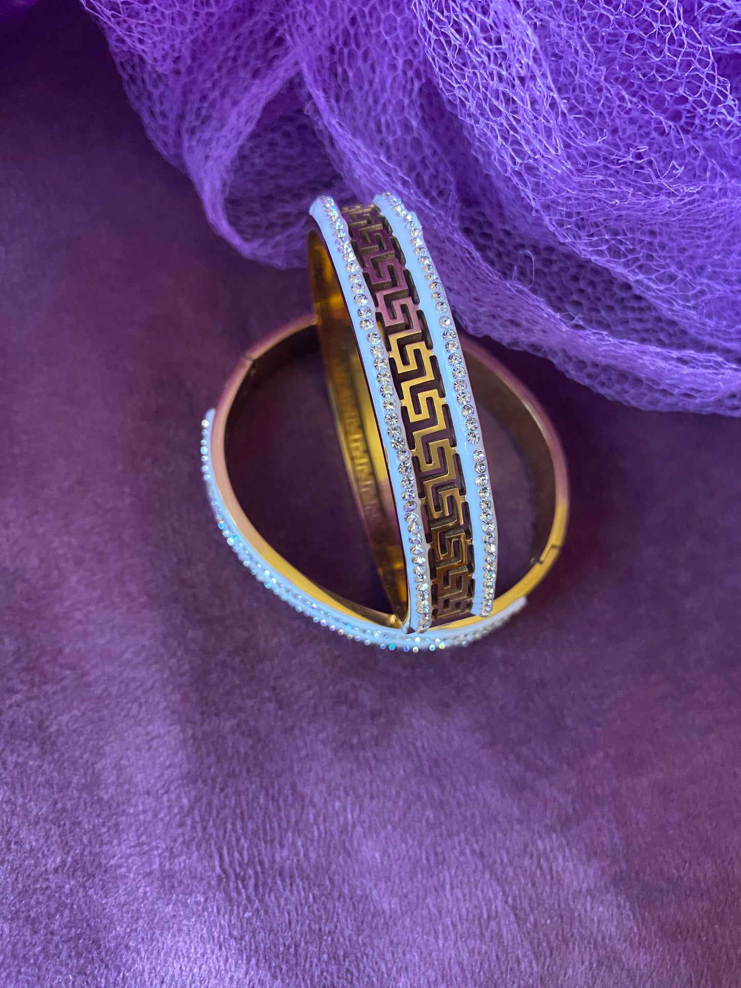 Double Layer Snake Bangle