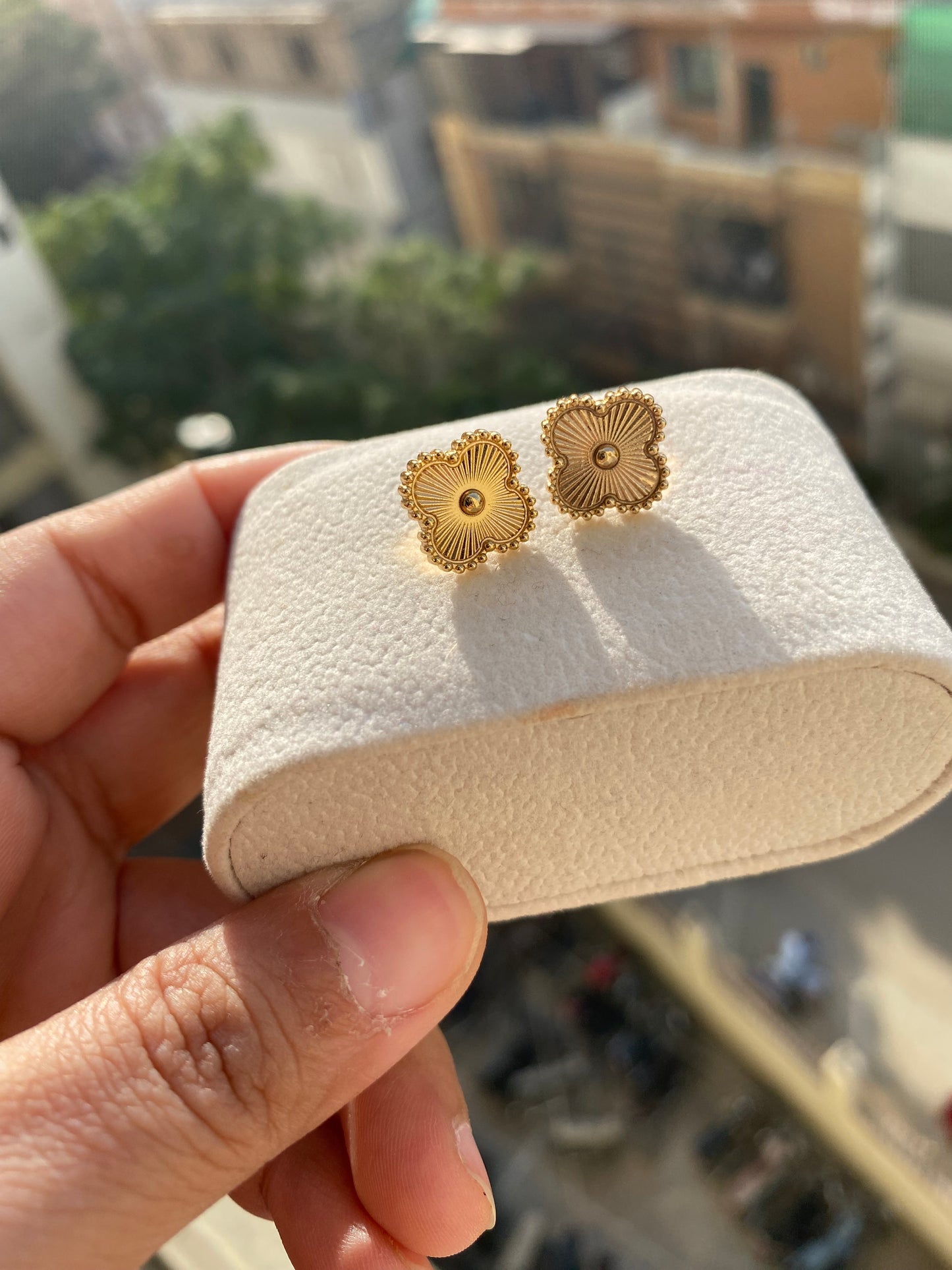 Golden Clover Tops